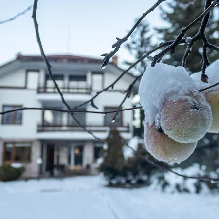 Semesterbostad Eight