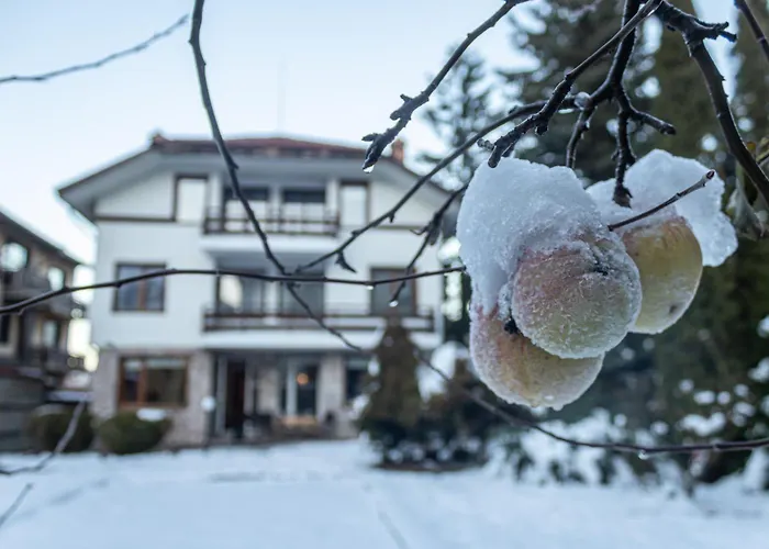 Сasa de vacaciones Eight